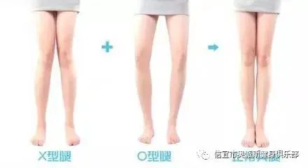 如何从篮球传说的故事中获得训练灵感_2
